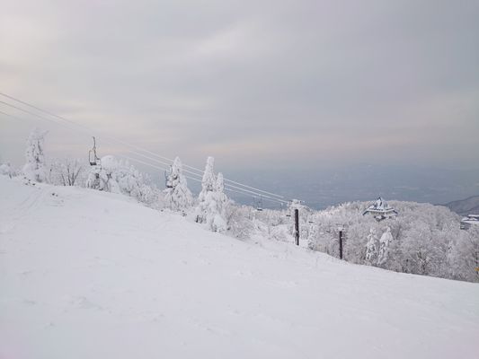 Zao Onsen Ski Resort by null