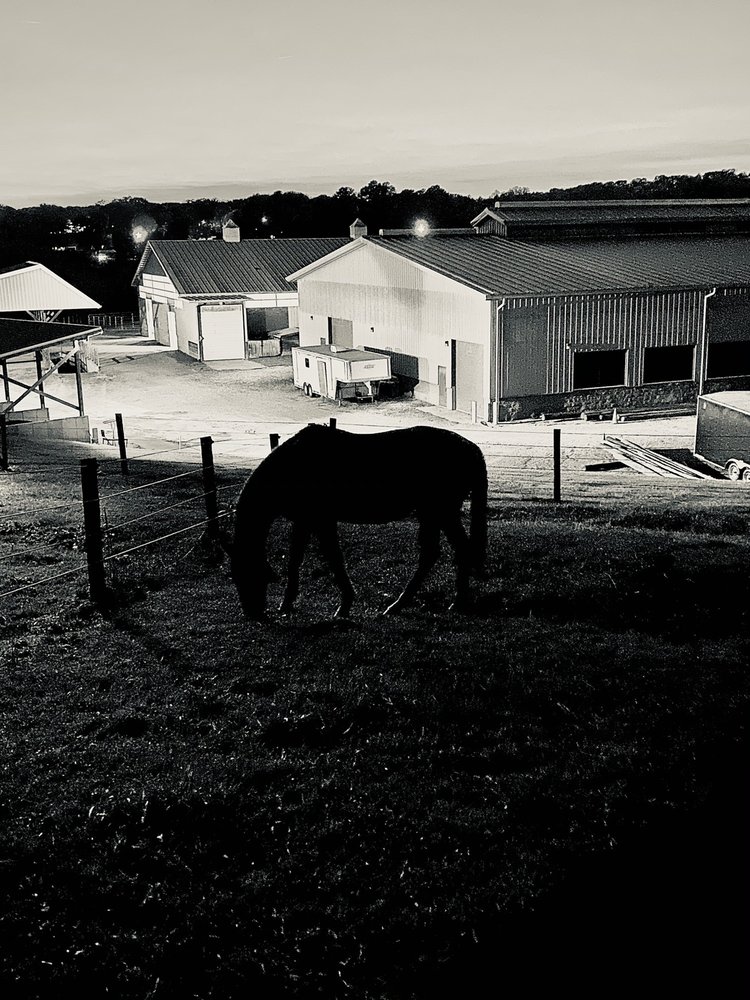 SHANGRILA THERAPEUTIC ACADEMY OF RIDINGSTAR Updated June 2024 16