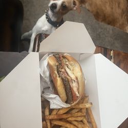 The One Horse Taphouse