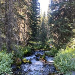 Rack and Reel Montana