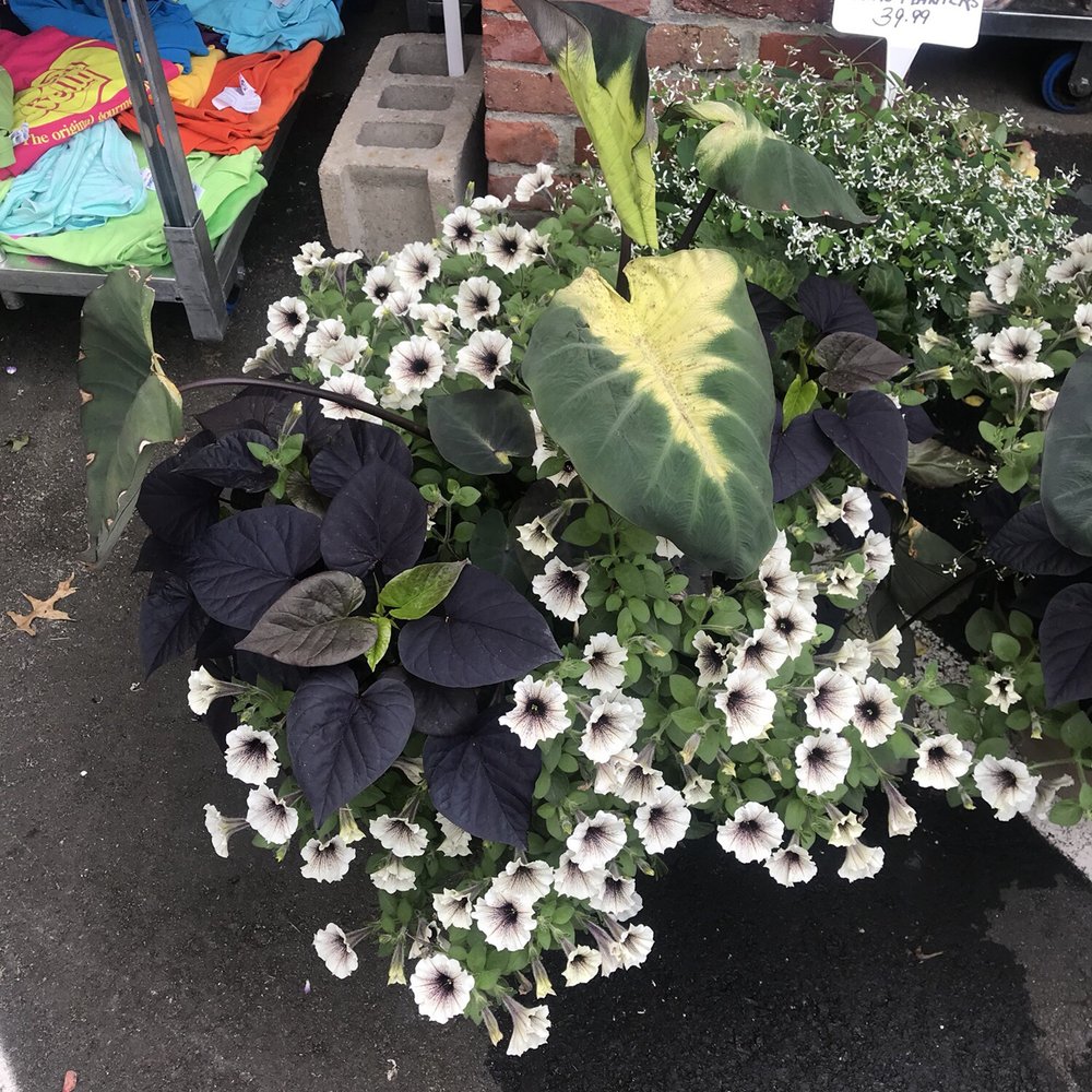 Friends' Marketplace - Grocery Near Me - Orleans, Massachusetts