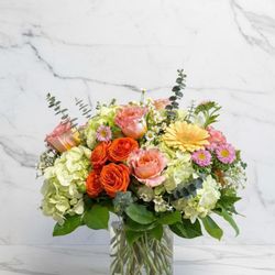 Berwyn's Violet Flower Shop