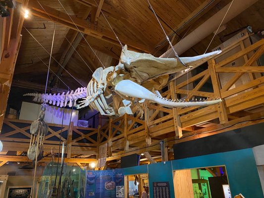 North Carolina Maritime Museum in Beaufort by null