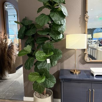 Arhaus - Faux plants - Furniture Stores Near Me - Los Gatos, California