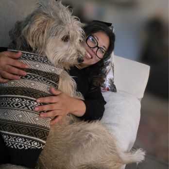 I C A R E Dog Rescue - Animal Shelters Near Me - Corona, California I C A R E Dog Rescue - Animal Shelters Near Me - Corona, California