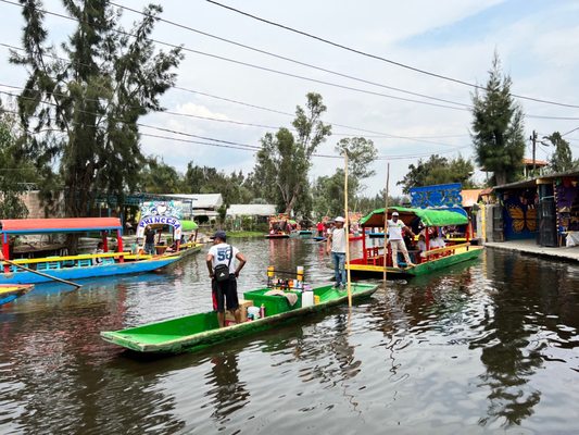 Parque Ecológico de Xochimilco by null