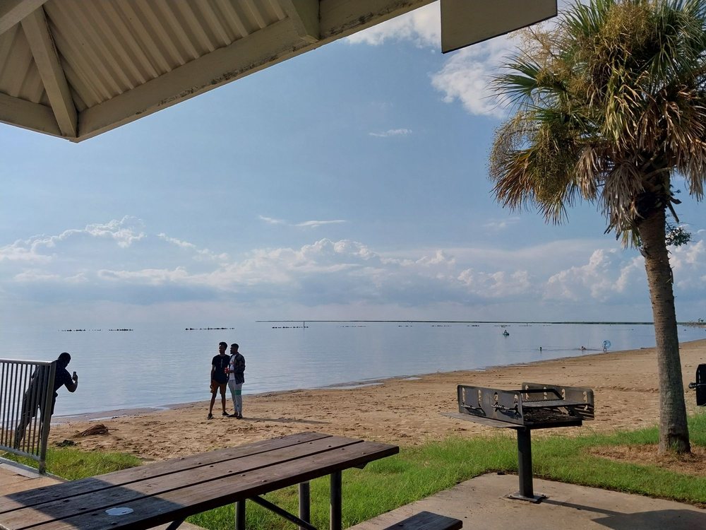 CYPREMORT POINT STATE PARK Updated September 2024 29 Photos 306