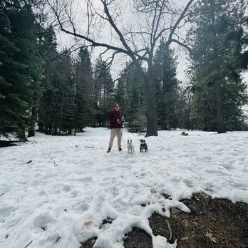 Heaps Peak Arboretum  - Botanical Gardens Near Me - Lake Arrowhead, California