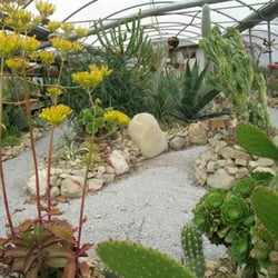 La Cactuseraie d'Escaïre Figue - La serre en visite guidée