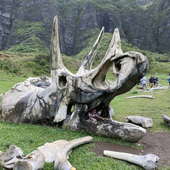 Kualoa Ranch - Tours Near Me - Kaneohe, Hawaii Kualoa Ranch - Tours Near Me - Kaneohe, Hawaii