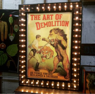 The Art of Demolition by null