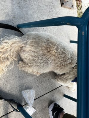 Stanley Beer Hall by null