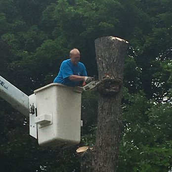 Hirko's Tree Service - Firewood Near Me - Nashua, New Hampshire Hirko's Tree Service - Firewood Near Me - Nashua, New Hampshire