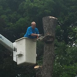 Hirko's Tree Service