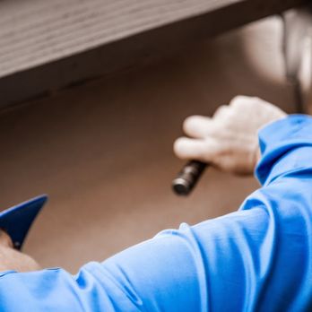 EcoGuard Pest Management - Pest Control Near Me - Carmel, Indiana EcoGuard Pest Management - Pest Control Near Me - Carmel, Indiana