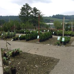 Musser Forests 2019 All You Need To Know Before Go With Musser Forests 2019 All You Need To