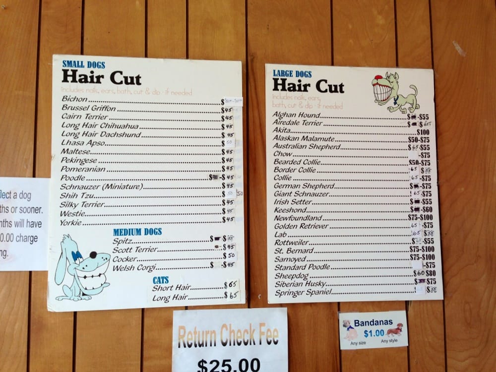 CHERE’S GROOMING Updated September 2024 10 Reviews 3929A