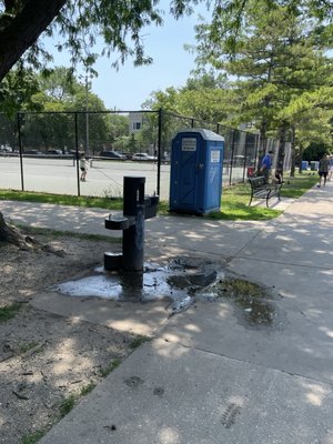 Oz Park by null