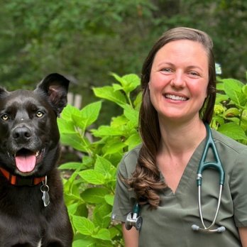 Harbor Animal Hospital - Veterinarians Near Me - Warren, Rhode Island Harbor Animal Hospital - Veterinarians Near Me - Warren, Rhode Island