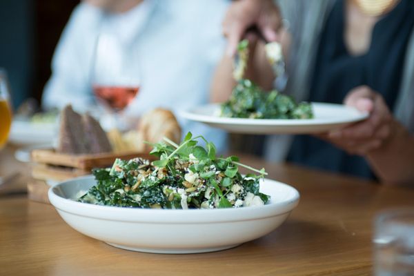 Kindred Fare by null