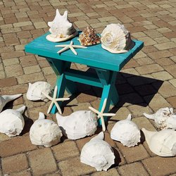 Daniels Shells - Daniel's Shells