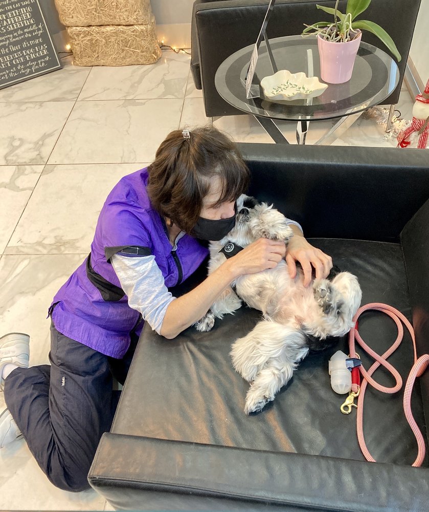 SQUEAKY CLEAN DOG GROOMING Updated September 2024 48 Photos & 58