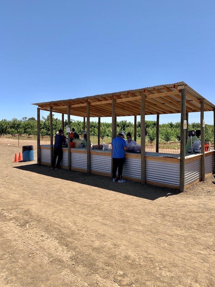 CHAVEZ UPICK CHERRIES 132 Photos & 87 Reviews 23800 Marsh Creek Rd