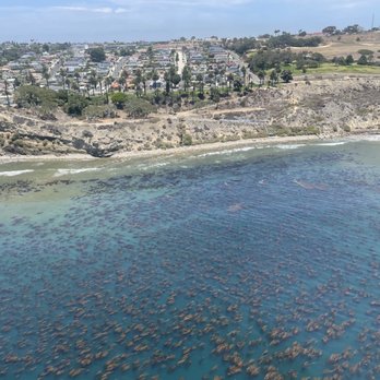 Celebrity Helicopters - Aerial Tours Near Me - Compton, California Celebrity Helicopters - Aerial Tours Near Me - Compton, California