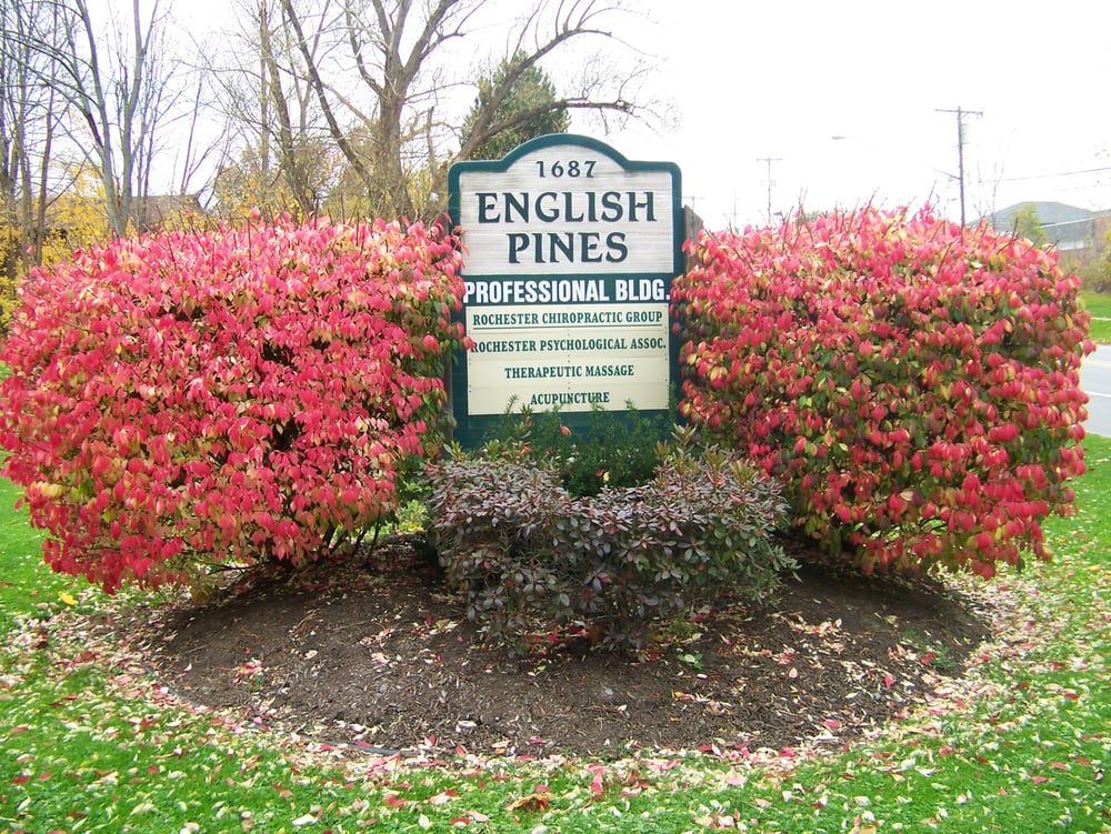 POINTS OF HARMONY ACUPUNCTURE 1687 English Rd, Rochester, NY Yelp