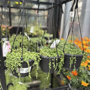 The Home Depot - Hanging String Baskets 6.29.26 - Hardware Stores Near Me - Brea, California The Home Depot - Hanging String Baskets 6.29.26 - Hardware Stores Near Me - Brea, California