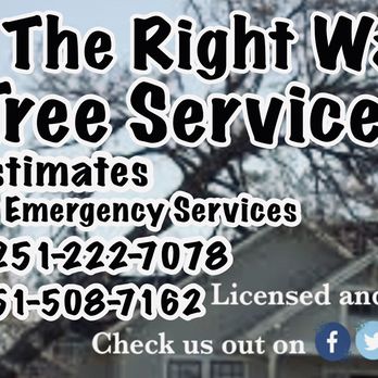 All The Right Ways Tree Service - Full Tree Service Company For All Your Needs, No Job Too Big Or Small, Satisfaction Guaranteed. 24 Hour Emergency Services - Tree Services Near Me - Mobile, Alabama All The Right Ways Tree Service - Full Tree Service Company For All Your Needs, No Job Too Big Or Small, Satisfaction Guaranteed. 24 Hour Emergency Services - Tree Services Near Me - Mobile, Alabama