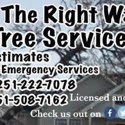 All The Right Ways Tree Service - Full Tree Service Company For All Your Needs, No Job Too Big Or Small, Satisfaction Guaranteed. 24 Hour Emergency Services