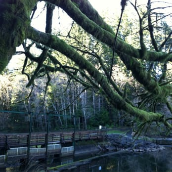 Lake Sylvia State Park - Parks Near Me - Montesano, Washington Lake Sylvia State Park - Parks Near Me - Montesano, Washington