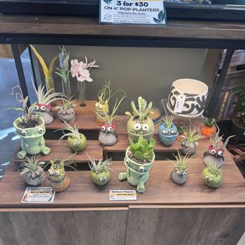 Pop-Local - Such cute planters! - Accessories Near Me - Vancouver, Washington Pop-Local - Such cute planters! - Accessories Near Me - Vancouver, Washington