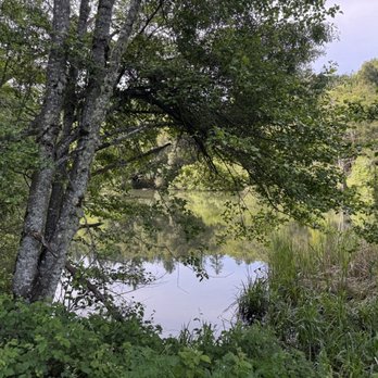 Long Ridge Open Space Preserve - Pond - Parks Near Me - Cupertino, California