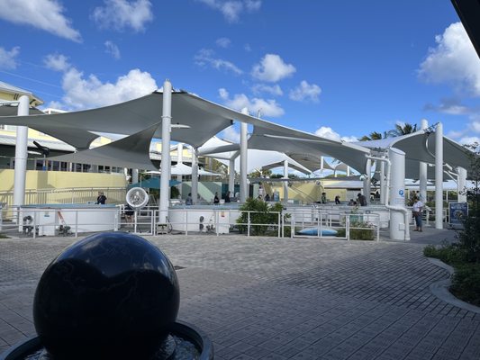 Loggerhead Marinelife Center by null