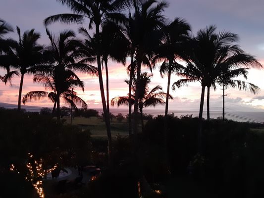 Pineapple Inn Maui by null