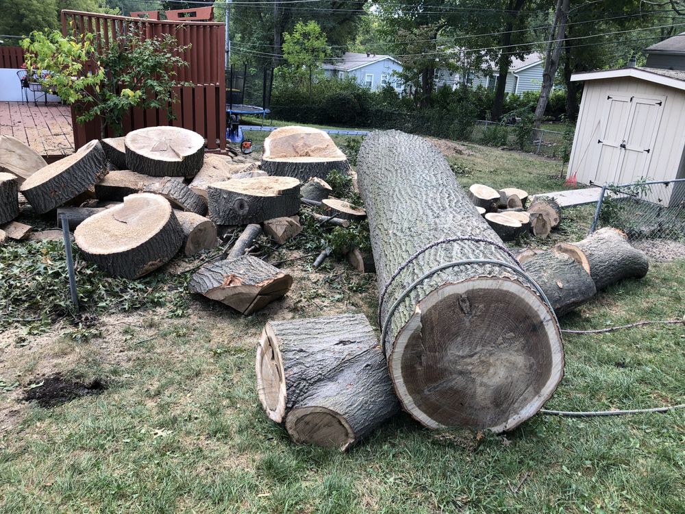PERALTA TREE SERVICE AND LANDSCAPING Updated August 2024 19 Photos