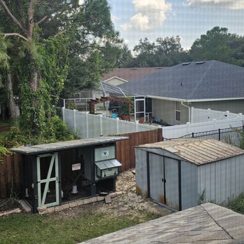 Breidenbach Tree Service of Central Florida - After, no damage to shed, fence, or chicken coop even though the large maple was very close and overhanging all 3. - Tree Services Near Me - Polk City, Florida Breidenbach Tree Service of Central Florida - After, no damage to shed, fence, or chicken coop even though the large maple was very close and overhanging all 3. - Tree Services Near Me - Polk City, Florida