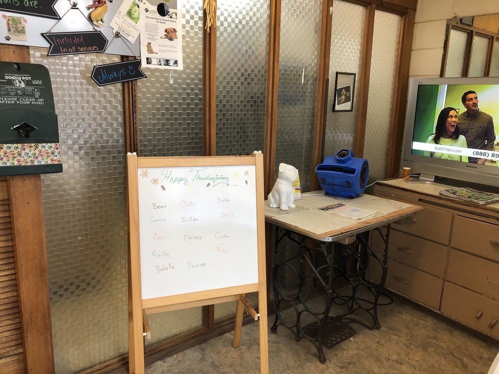 Fabulous Lanai Grooming Salon