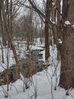 Plymouth Township Park by null