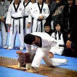 Master Choi's World Champion Tae Kwon Do