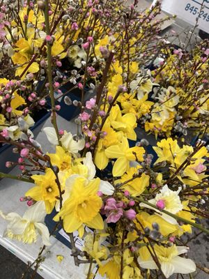 79th Street Greenmarket by null