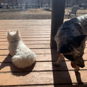 Vint Hill Dog Park - Dog Parks Near Me - Warrenton, Virginia
