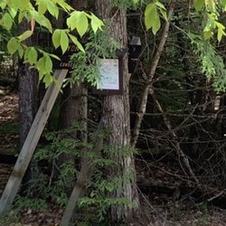 Lyon Brook Trail