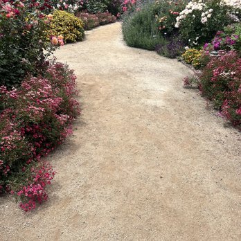 Otto & Sons Nursery - Nurseries & Gardening Near Me - Fillmore, California Otto & Sons Nursery - Nurseries & Gardening Near Me - Fillmore, California