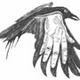 Photo of Raven Bodywork