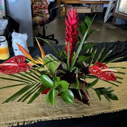 Tropical arrangement