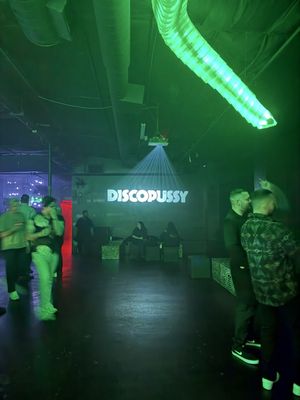 Discopussy by null