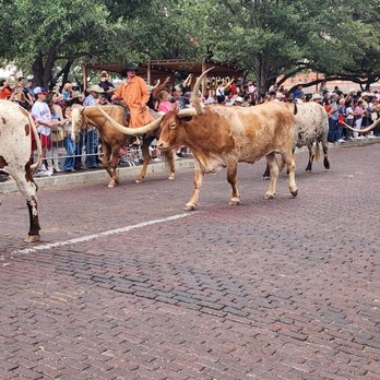 Fort Worth Stockyards - Landmarks & Historical Buildings Near Me - Fort Worth, Texas